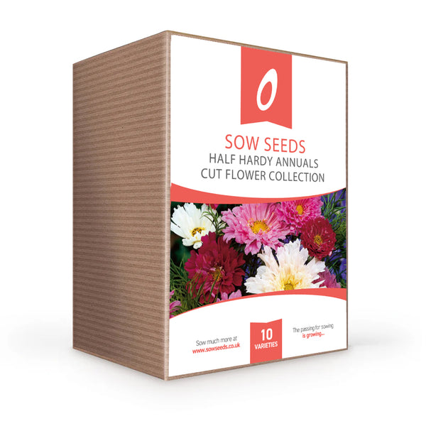 'Half Hardy Annuals' Cut Flower Collection Box