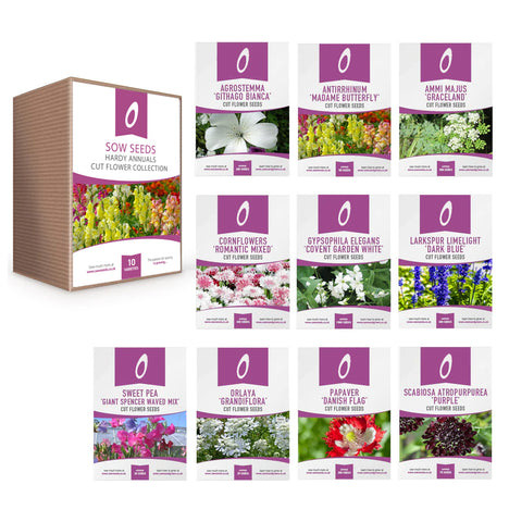 Cut Flower Gift Bundle