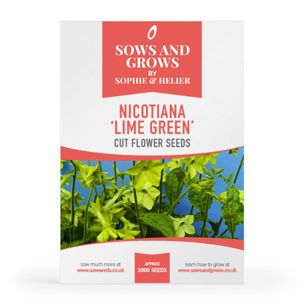 Nicotiana Lime Green Cut Flower Seeds