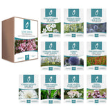 Cut Flower Gift Bundle