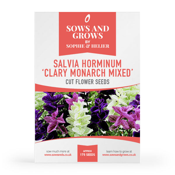 Salvia Horminum Clary Monarch Mixed Cut Flower Seeds