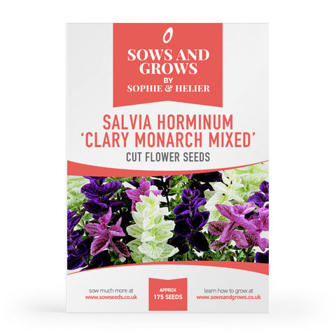 Salvia Horminum Clary Monarch Mixed Cut Flower Seeds