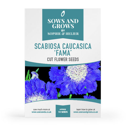 Scabiosa Caucasica 'Fama' Cut Flower Seeds