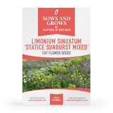 Limonium Sinuatum 'Statice Sunburst Mixed'