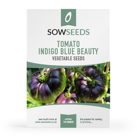 Tomato Indigo Blue Beauty Seeds