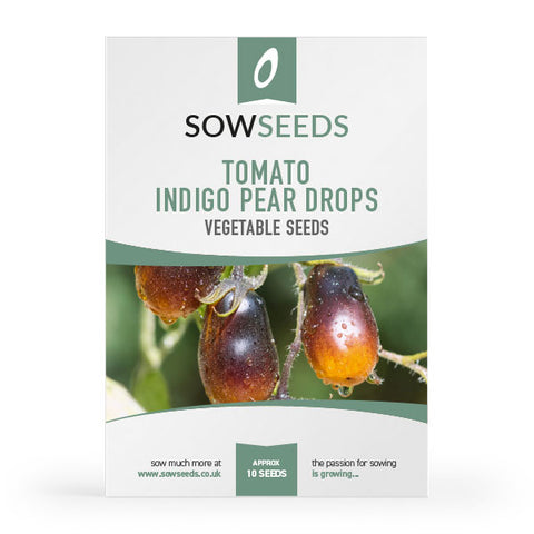 Tomato Indigo Pear Drops Seeds