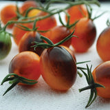 tomato indigo kumquat f1 vegetable seeds