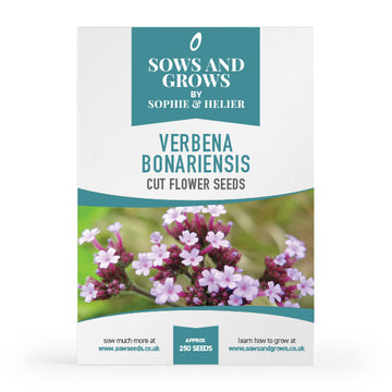 Verbena Bonariensis Cut Flower Seeds