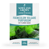 Foeniculum Vulgare 'Purpureum' Cut Flower Seeds