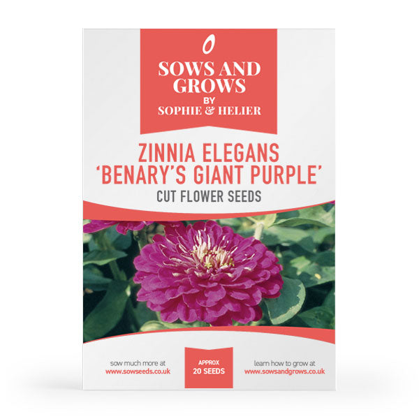 Zinnia Benary's Giant Purple Cut Flower Seeds