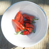 Apache F1 Chilli Seeds (AGM)