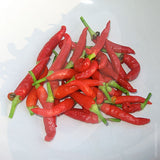 Basket of Fire F1 Chilli Seeds