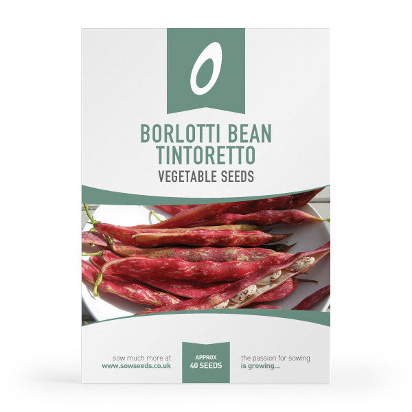 Borlotti Bean Tintoretto Seeds