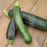 Courgette Defender