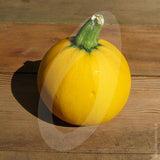 Courgette One Ball Seeds