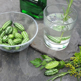 Cucamelon Gin & Tonic