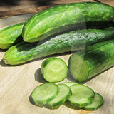 Cucumber Burpless Tasty Green Seeds