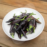 Gusto Purple F1 Chilli Seeds