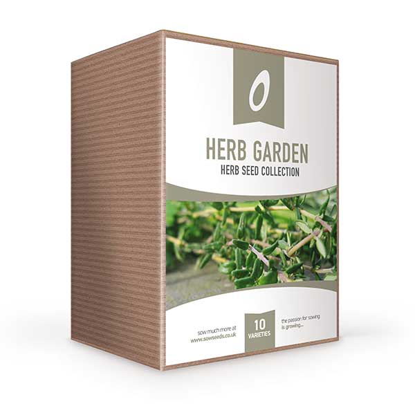 sow herb garden seed collection box gardening gift