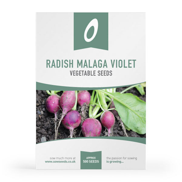 Radish Malaga Violet Seeds