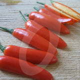 Serrano Chilli Seeds