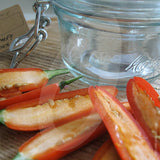 Serrano Chilli Seeds