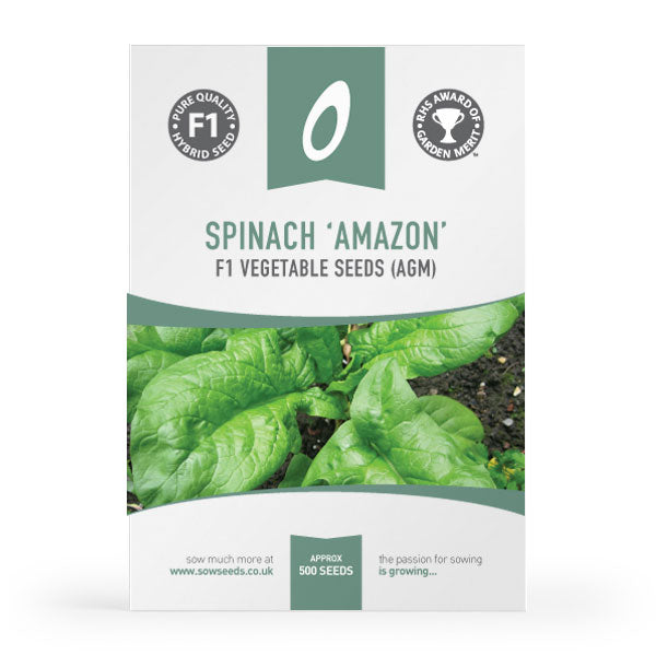 Spinach Amazon F1 Seeds (AGM)