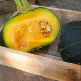 Squash Kabocha Seeds