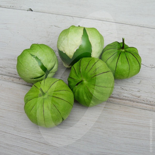 Tomatillos Verde Seeds Quality Seeds from Sow Seeds Ltd