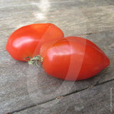 Tomato San Marzano Seeds