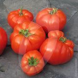 Tomato Super Marmande Seeds