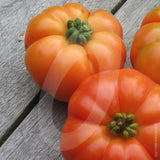 Tomato Super Marmande Seeds