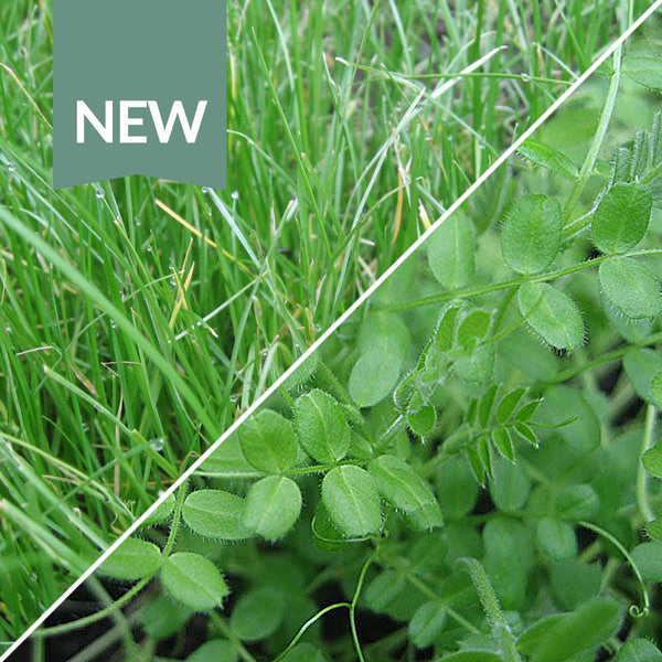 Winter Mix Green Manure Seeds