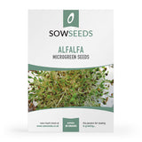 alfalfa microgreen sprouting seeds