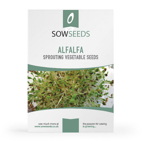 Alfalfa Microgreens Sprouting Seeds