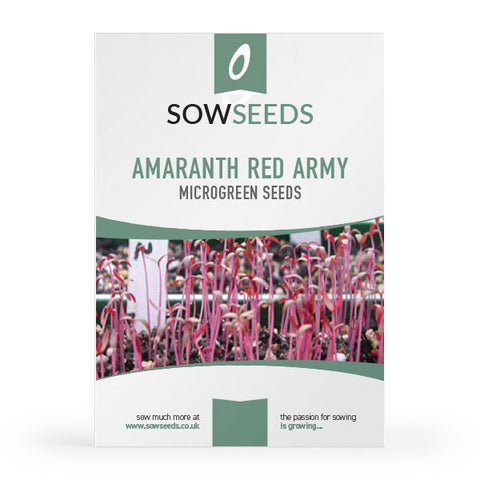 Amaranth Red Army Microgreens Seeds