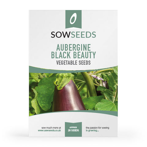 Aubergine Black Beauty Seeds