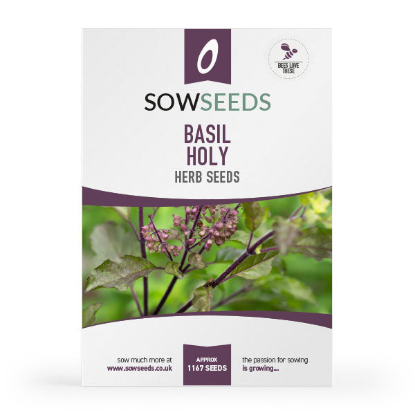 herb basil holy seeds