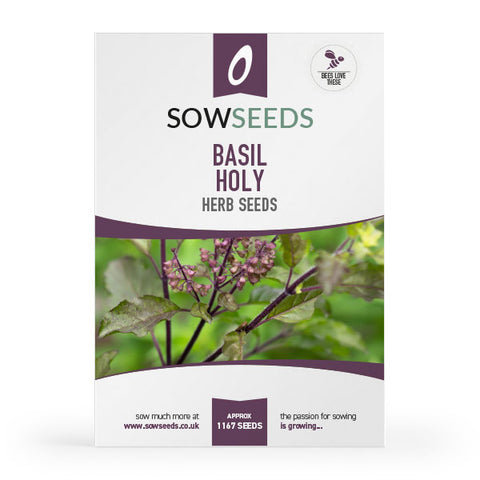 Herb Basil Holy Seeds