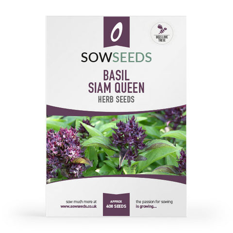 Herb Basil Siam Queen Seeds