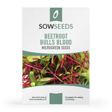 beetroot bulls blood red microgreen sprouting seeds
