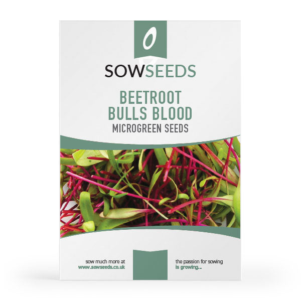 beetroot bulls blood red microgreen sprouting seeds