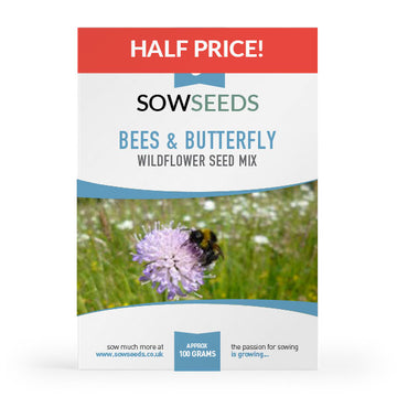 bee and butterfly pollinators wildflower meadow seed mix