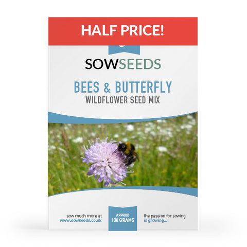 Flower Seeds