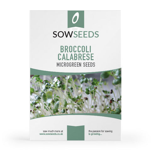 Broccoli Microgreens Sprouting Seeds