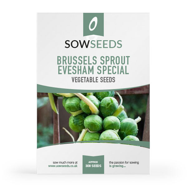 Brussels sprouts Evesham Special vegetable seeds