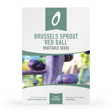 Brussels Sprout Red Ball Seeds