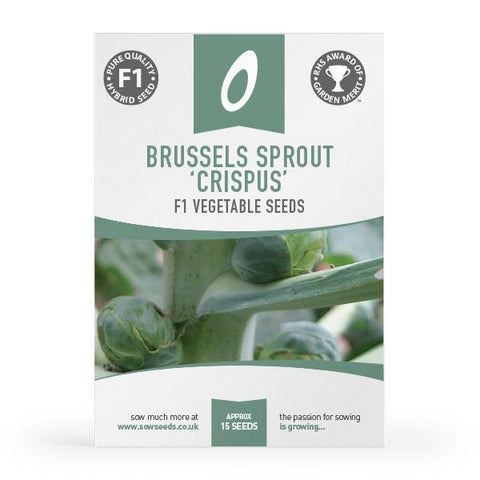 Brussels Sprout Crispus F1 Seeds (AGM)