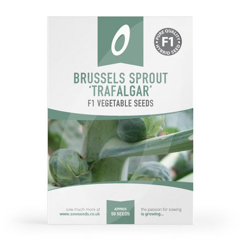 Brussels Sprout Trafalgar F1 Seeds