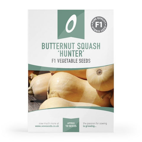 Butternut Squash Hunter F1 Seeds